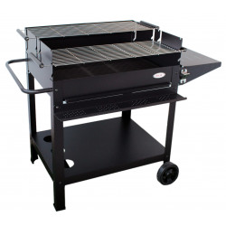 Charcoal and wood barbecue,...